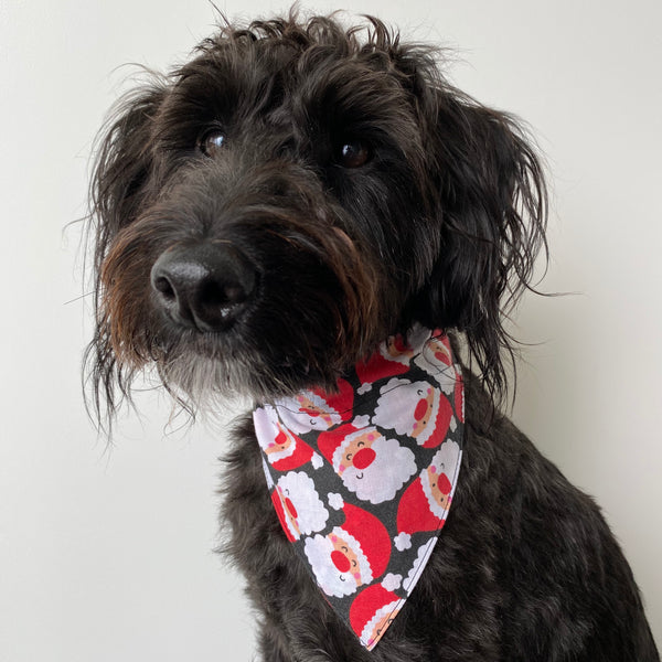 Dog Bandana - Over the collar style - Christmas